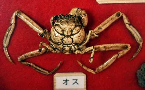 Người lái thuyền không mặc giáp trụ, nên bị trúng tên thì bị thương nặng không lái thuyền được nữa. Vì vậy, họ sợ bỏ chạy hết, khiến đoàn thuyền của Taira không xoay xở được. Các tướng Taira đã thốt lên “Yoshitsune là đồ hèn!” mà chết đi.