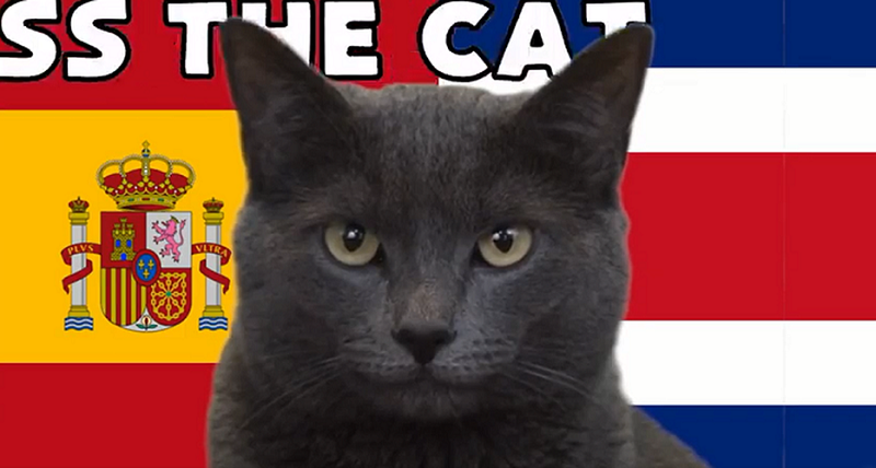 Người chủ Dirk Copland là người hỗ trợ mèo Cass thực hiện màn dự đoán trứ danh, mỗi lần chỉ kéo dài khoảng vài giây. Copland làm một tấm phản nhỏ có hình sân bóng, mỗi bên có một cái đĩa đựng đồ ăn yêu thích của Cass, thêm một đĩa ở giữa tượng trưng cho kết quả hòa. Nhiệm vụ của mèo Cass là tìm đến đĩa đồ ăn mà chú ưa thích.