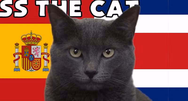 Người chủ Dirk Copland là người hỗ trợ mèo Cass thực hiện màn dự đoán trứ danh, mỗi lần chỉ kéo dài khoảng vài giây. Copland làm một tấm phản nhỏ có hình sân bóng, mỗi bên có một cái đĩa đựng đồ ăn yêu thích của Cass, thêm một đĩa ở giữa tượng trưng cho kết quả hòa. Nhiệm vụ của mèo Cass là tìm đến đĩa đồ ăn mà chú ưa thích.