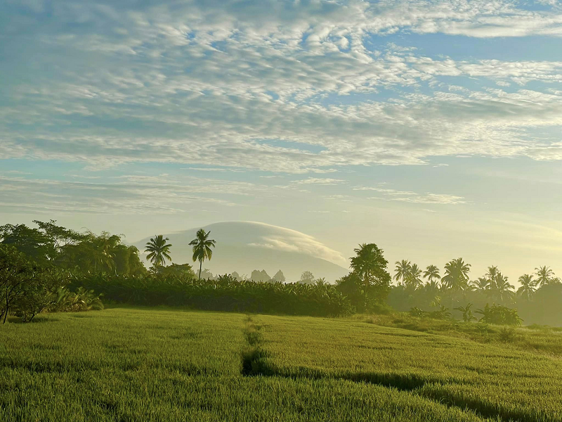 Mây trung tích dạng thấu kính thường hình thành khi không khí ẩm, ổn định va chạm với một vật thể đứng yên lớn, chẳng hạn như một tòa nhà hoặc một ngọn núi. Chúng có nhiều khả năng hình thành nhất khi hướng chúng di chuyển vuông góc với hướng gió.