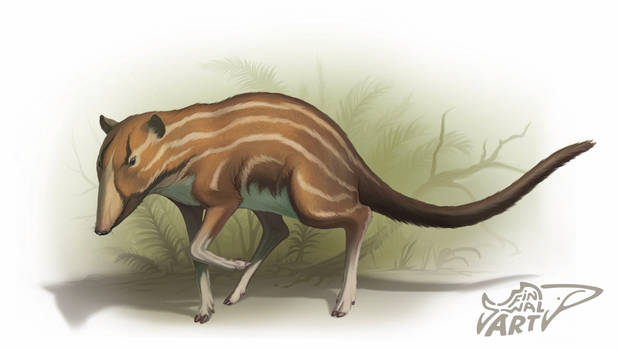 Họ phát hiện điểm đặc biệt giống nhau giữa hai loài này là cấu tạo xương sọ, tai và răng tiền hàm.