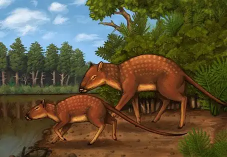 Cấu tạo xương của Indohyus có một lớp ngoài rất đặc - đặc hơn nhiều so với các loài động vật có vú và cùng kích thước khác - và đây là dấu hiệu cho thấy loài vật này vừa có thể sống dưới nước, vừa sống trên cạn, tuy nhiên, di chuyển dưới nước rất chậm, giống như loài hà mã mà chúng ta thường thấy.