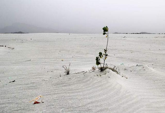 Nếu cơ sở khai thác không thực hiện như trong cam kết, số tiền này sẽ được dùng để thuê đơn vị khác đứng ra xử lý môi trường. Ví dụ, tỉnh Quebec, Canada vừa đòi hỏi chủ mỏ phải nộp kết hoạch đóng cửa mỏ, vừa quản lý theo phương pháp này để đảm bảo tài chính 100% chi phí phục hồi ước tính.