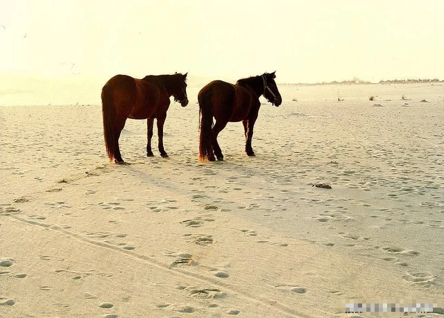 Năm 1958, một doanh nghiệp đã khai thác mỏ quặng chì - kẽm ở khu vực này. Đây là dự án có quy mô lớn với sự tham gia của hơn 4.000 công nhân. Gần 100 tấn quặng đuôi sau tuyển rửa không gây ô nhiễm môi trường đã được vận chuyển đến ngọn đồi gần đó bằng đường ống.