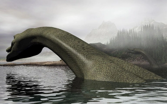 Nhân chứng đầu tiên nhìn thấy nó là vào tháng 5/1933. Kể từ đó, người ta đã tiến hành không biết bao nhiêu cuộc điều tra, tìm kiếm Nessie.