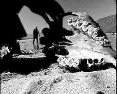 Vào đầu thế kỉ 21, một du khách cũng cho biết mình nhìn thấy hai con quái vật đang nô đùa với nhau tạo ra những cột sóng lớn. Chúng cao bằng những cây lớn mọc ở ven hồ, chiều dài lên đến 10m. Tuy vậy, chưa có bất cứ bằng chứng xác thực nào thuyết phục được số đông. Nhiều nhà khoa học cho rằng, với độ cao 1.200m so với mực nước biển thì rất khó có sinh vật khổng lồ ở đây.