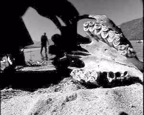 Vào đầu thế kỉ 21, một du khách cũng cho biết mình nhìn thấy hai con quái vật đang nô đùa với nhau tạo ra những cột sóng lớn. Chúng cao bằng những cây lớn mọc ở ven hồ, chiều dài lên đến 10m. Tuy vậy, chưa có bất cứ bằng chứng xác thực nào thuyết phục được số đông. Nhiều nhà khoa học cho rằng, với độ cao 1.200m so với mực nước biển thì rất khó có sinh vật khổng lồ ở đây.