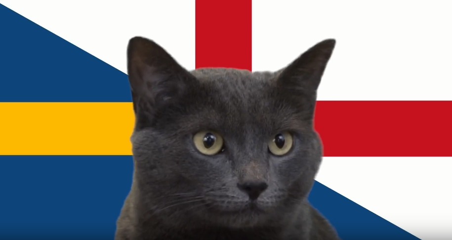 Mèo Cass là cái tên nổi tiếng nhất, nhưng "nhà tiên tri" này cũng gặp phải sự cạnh tranh của những "đồng nghiệp".