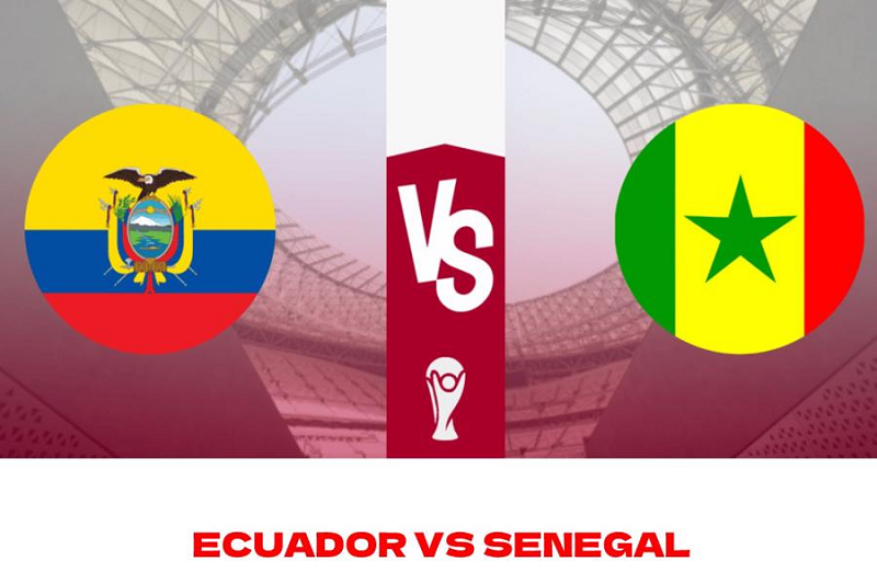 Sau hai lượt trận, Hà Lan và Ecuador chia nhau hai vị trí dẫn đầu với 4 điểm, Senegal có 3 điểm, tạm đứng thứ 3. Qatar với hai trận toàn thua đã chính thức bị loại.