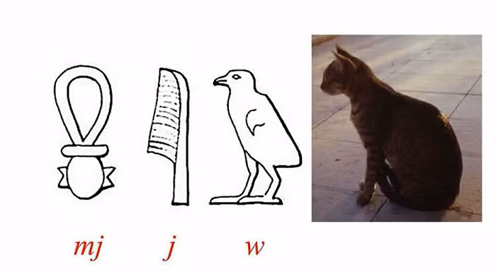 Champollion đã phát hiện ra đó không chỉ là bảng chữ cái mà còn là một hệ thống lai hoặc hỗn hợp, đôi khi là các chữ cái hoàn chỉnh, đôi khi lại là các chữ riêng lẻ, chúng kết hợp với nhau để thành 1 thể hoàn chỉnh.