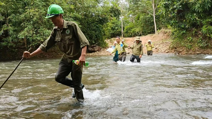 Tuy nhiên, buổi sáng anh đem vào rừng thả thì buổi chiều đôi khỉ đã quay về đúng nhà mình. Nuôi nhốt vài hôm, anh lại đem đôi khỉ vào rừng thả tiếp nhưng tất cả những lần ấy, đôi khỉ này vẫn trở lại ngôi nhà của anh chị.