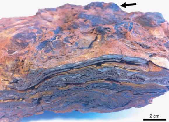 Đó là những phiến thạch nhũ chứa được Stromatolite từ Hệ tầng Dresser ở Tây Úc. Stromatolite vốn là những cấu trúc rắn, nhiều lớp, được cho là phản ánh sự đan xen phức tạp của các cộng đồng vi sinh vật và môi trường chứa đựng chúng dù vẫn gây tranh cãi nhiều năm qua.