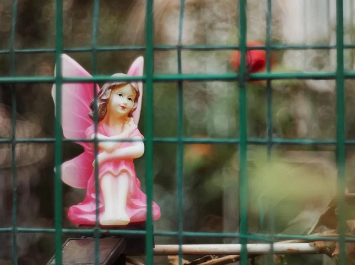 Với khẩu độ ống kính lớn, cảm biến 1 inch của Xiaomi 12S Ultra dễ dàng thu nhận được độ sâu trường ảnh hẹp, bokeh tròn, một vài ảnh còn có hiệu ứng bokeh xoáy. Do các ống kính sử dụng công nghệ cũ nên chất lượng hình ảnh không được tốt nhất, có thể thấy ảnh chụp ra xuất hiện quang sai nhiều, ảnh bị mờ (soft) khi ở khẩu độ mở ống kính lớn. Ảnh: Lý Bạch Thố Tử