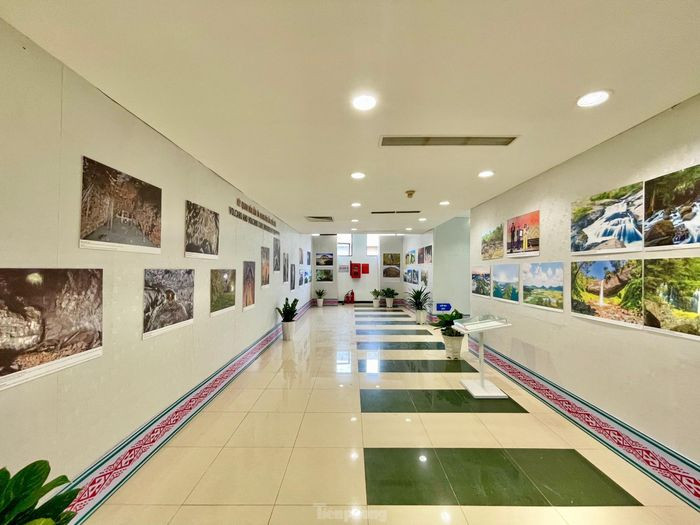 Giáo sư cho biết thêm: "Phát hiện bộ xương ở mộ 1 mở ra cho chúng ta một chương mới để đi tìm chủ nhân thực sự của vùng đất mà từ trước đến nay vẫn là một khoảng trống đối với các nhà nghiên cứu. Việc lần đầu tiên phát hiện ra di cốt người tiền sử trong các hang núi lửa là phát hiện mang tính bước ngoặt của ngành Cổ nhân học Việt Nam”.