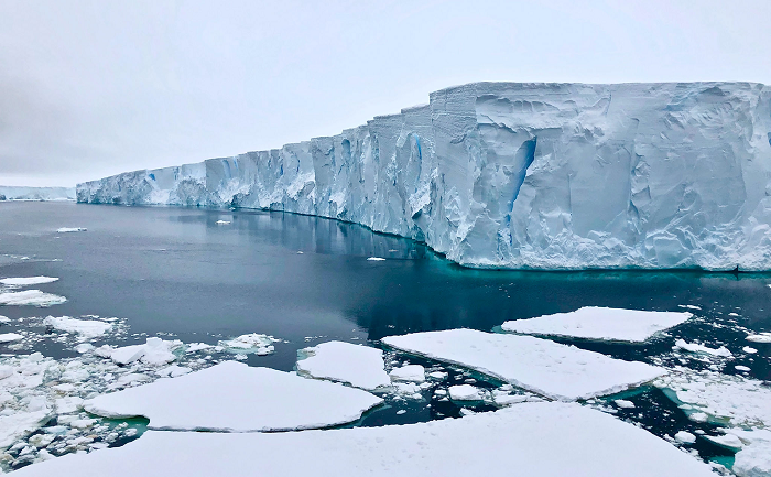 Phát hiện này đến từ 2.197 lần lặn dưới băng của 51 thiết bị thám sát từ năm 2014 đến 2021, từ đó đưa đến 79 chuỗi phép đo chi tiết, chỉ ra hiện có tới 50% hoặc hơn diện tích dưới băng ở Nam Cực đang có các yếu tố hỗ trợ sự nở hoa dưới băng.
