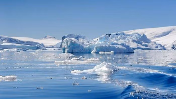  Nam Đại Dương bao quanh Nam Cực, vô cùng lạnh giá và lẽ ra rất hiếm thực vật phù du, nhưng những tác động từ việc con người làm ô nhiễm và "đun nóng" đại dương đã tạo nên cú thúc đẩy sự sống chưa từng có.