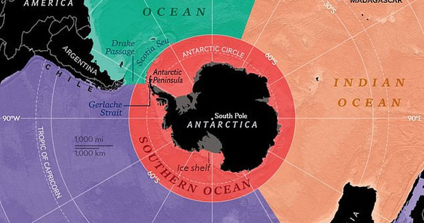 Tuy điều này có thể kéo theo một quần thể sinh vật biển sống nhờ sinh vật phù du phát triển mạnh, nhưng cũng khiến nhiều quần thể khác gặp khó khăn. Hơn hết, sự thay đổi đáng sợ này cho thấy cách con người đã biến đổi Trái Đất bởi các hành động gây biến đổi khí hậu. Đó là một lời cảnh báo.