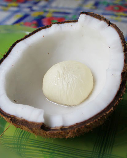 Mầm dừa lớn lên nhớ tinh chất tinh túy từ nước và cùi dừa. Chính vì thế nếu nó vừa ngọt, mềm, thêm lại mang vị béo ngậy.