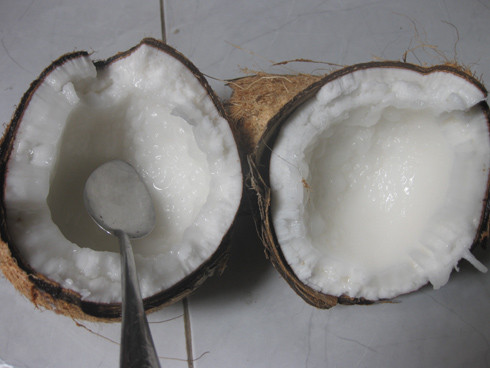 Thịt dừa sáp dẻo mềm béo thơm ngon hơn bất kỳ loại quả nào bạn từng thưởng thức.