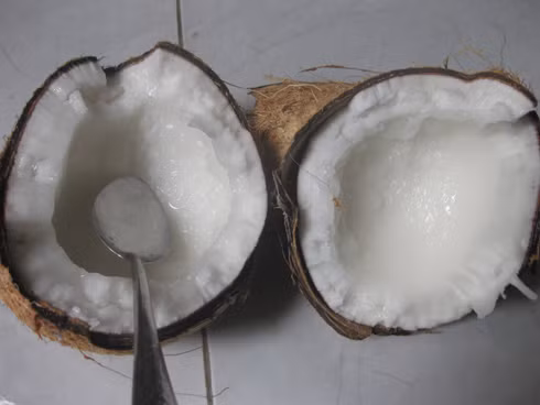 Thịt dừa sáp dẻo mềm béo thơm ngon hơn bất kỳ loại quả nào bạn từng thưởng thức.