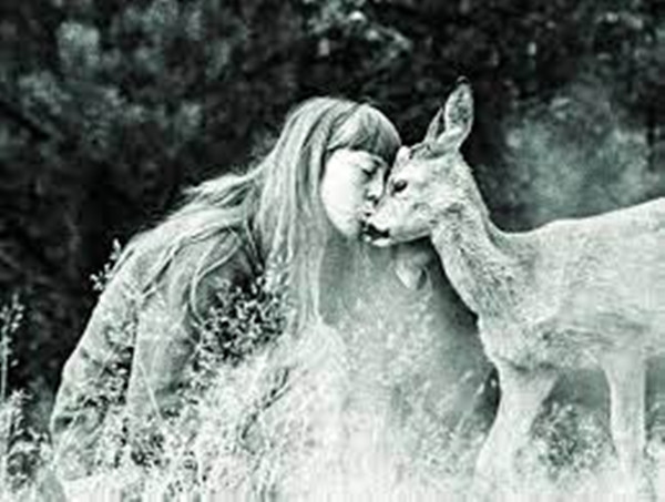 Theo thời gian, ngày càng có nhiều loài vật tìm đến ngôi nhà của Simona. Bà đặt kẹo trên bậu cửa sổ cho một con hươu cái hảo ngọt, làm tổ bằng thùng cho một con cò đen, thậm chí một con chó lạp xưởng và một con linh miêu cái còn ngủ chung phòng với bà và cả chim công. Căn nhà gỗ nhỏ dần trở thành một phòng thí nghiệm động vật kiêm phòng khám tâm lý, với cả bệnh viện và phòng chờ cho những vị khách đặc biệt.