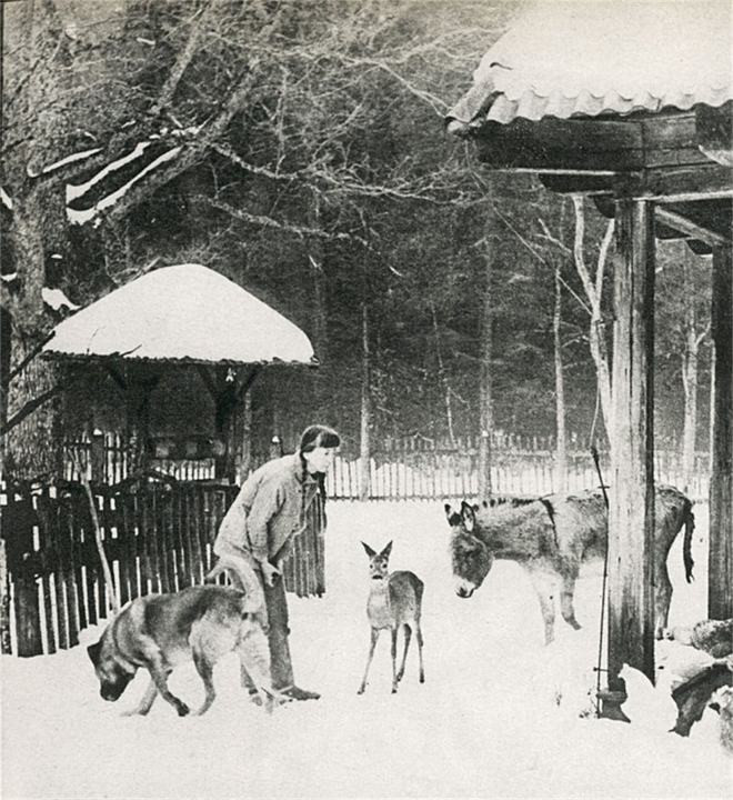 Nhận thấy sự kiên trì và năng lực của Simona, giám đốc đã cử người của công viên đến giúp bà sửa chữa căn nhà và giới thiệu bà với một người hàng xóm – nhiếp ảnh gia Lech. Lech đã đến đây từ khoảng 20 năm trước, khi những đàn bò rừng châu Âu đầu tiên được thả về rừng sau chiến tranh. Giống như Simona, ông cũng có niềm đam mê với động vật từ nhỏ và từng sở hữu một bể cá khổng lồ ở Warsaw.