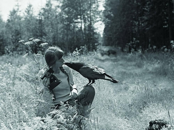 Đến tận khi mất đi, "phù thủy tuyết" Simona Kossak vẫn hết lòng với sự nghiệp bảo vệ, chăm sóc thiên nhiên và động vật hoang dã. Ở nơi xa xôi, có lẽ bà vẫn đang tiếp tục gửi những lời chúc phúc tốt đẹp nhất đến những người bạn đồng hành của mình.