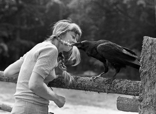 Sau nhiều lần giao lưu, Simona cảm nhận được sự kết nối sâu sắc giữa con người và động vật. Bà nhận ra rằng, nếu có một bức tường vô hình ngăn cách, động vật sẽ không quan tâm đến bà. Việc chúng cảnh báo bà hôm nay chứng tỏ một điều: "Bạn là bạn của chúng tôi, chúng tôi không muốn bạn bị thương". Kể từ đó, Simona thực sự hiểu được cách kết bạn với động vật.