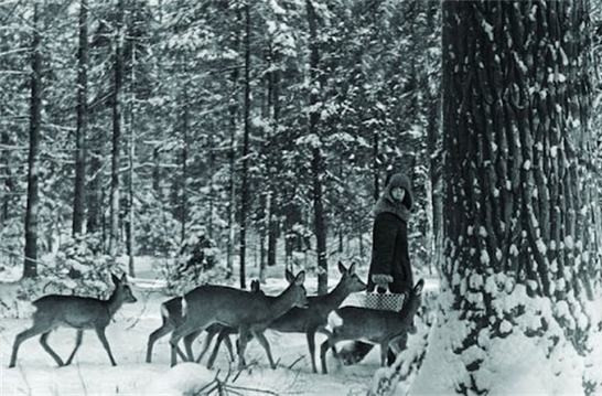 Dù có chung sở thích, nhưng động cơ của Simona và Lech lại khác nhau. Lech đến đây đơn giản để nghiên cứu và ghi lại hình ảnh động vật hoang dã trong môi trường tự nhiên, không mang theo bất kỳ triết lý sống nào. Vì vậy, quan điểm của họ đôi khi trái ngược, thậm chí có lúc cho rằng đối phương quá tự cao.