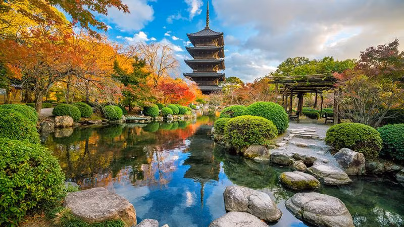 Tết Nguyên đán cũng là thời điểm hoa mơ (ume) bắt đầu nở rộ ở Kyoto, mang đến một sắc hồng dịu dàng, báo hiệu mùa xuân đang đến. Dạo bước trong những khu vườn truyền thống, tham gia một buổi trà đạo trang trọng hay đơn giản là thưởng thức ẩm thực Nhật Bản tinh tế – Kyoto sẽ mang đến cho bạn một trải nghiệm Tết Nguyên đán đậm chất văn hóa và thanh lịch. (Ảnh: Bestprice)