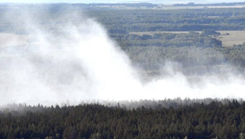 So với các thiết bị tạo khói truyền thống, nó có ba ưu điểm đột phá lớn: có thể phóng khói chính xác; có thể điều chỉnh linh hoạt để thích ứng với sự thay đổi của tốc độ gió; Hợp tác giữa nhiều máy bay có thể tạo ra những hành lang khói chiến thuật nhằm đánh lạc hướng. Ảnh: lenta.ru