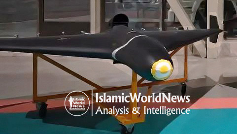 Biến thể chống radar (SEAD) được thiết kế để phát hiện, theo dõi và tấn công các hệ thống radar hoặc nguồn phát tín hiệu điện từ của đối phương, giúp tạo lợi thế chiến thuật trong việc xâm nhập không phận có phòng không mạnh.