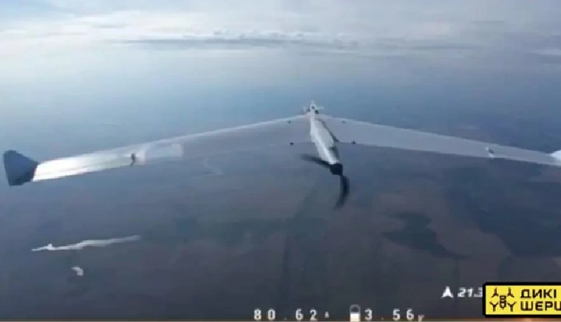 “Mạng lưới giám sát dày đặc của UAV Nga khiến việc triển khai an toàn các hệ thống phòng không Ukraine gần tiền tuyến gần như không thể thực hiện được”, báo cáo của RUSI nhận định. Ảnh: Wild Hornets