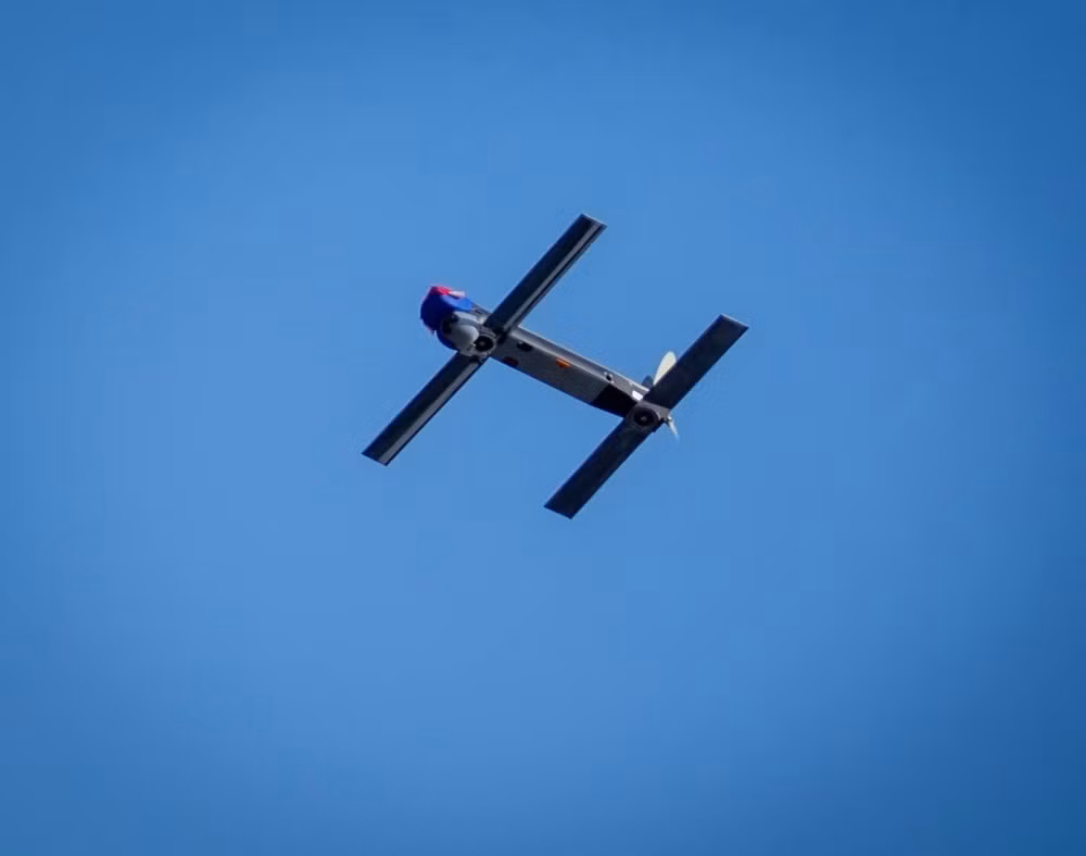 Switchblade 300 nhỏ hơn và dùng cho các cuộc tấn công nhằm vào sinh lực đối phương, trong khi Switchblade 600 nặng hơn một chút với đầu đạn lớn hơn. Switchblade 600 có tầm bay xa tới 80 km, mang một đầu đạn xuyên giáp trọng lượng 3 kg. Ngoài ra, UAV Switchblade 600 còn có thể tuần tra không phận trong chế độ chờ với thời gian tối đa 40 phút.