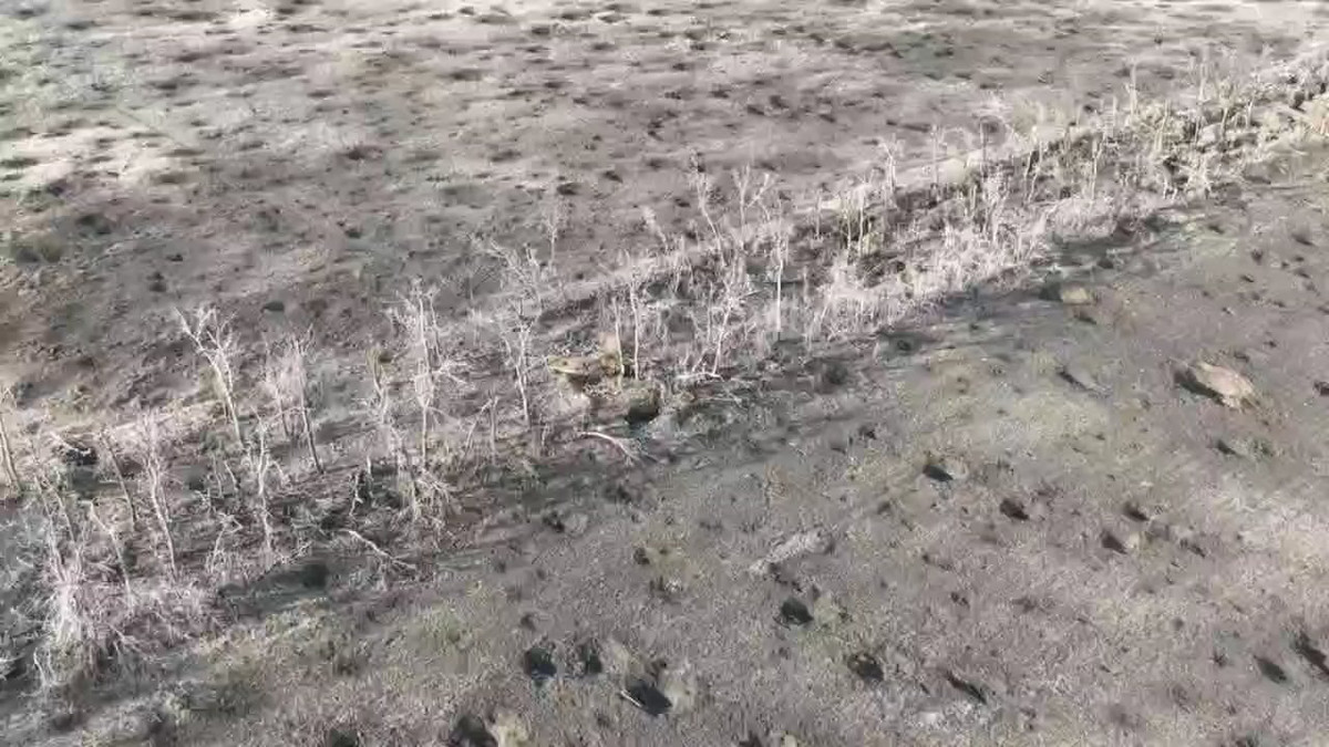 Một người lính Nga đang xây dựng đường hầm lưới mắt cáo cho hay: “Nhóm của chúng tôi duy trì hơn 2 km lưới chống máy bay không người lái. Các lưới được đặt trên các đoạn đường dễ bị tấn công nhất để đảm bảo thiết bị của chúng tôi di chuyển an toàn. Chúng tôi đang nỗ lực mở rộng phạm vi che phủ, tìm cách nâng cao công nghệ lắp đặt lưới để thiết lập chúng nhanh hơn”.