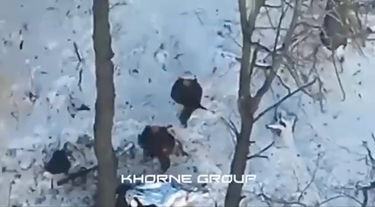 Binh sĩ Triều Tiên tại Kursk: Chiến thuật liều lĩnh khiến Ukraine chao đảo - Hình 5 Binh si Trieu Tien tai Kursk: Chien thuat lieu linh khien Ukraine chao dao-Hinh-5