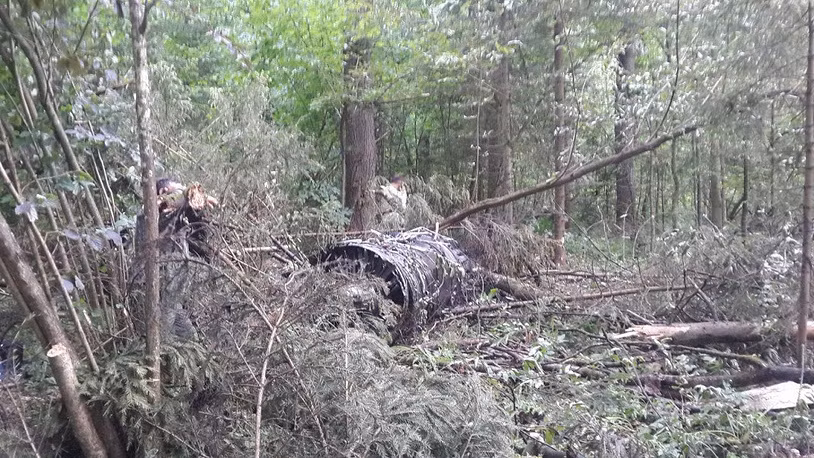 Trong ảnh là một trong hai động cơ AL-31 trên chiếc Sukhoi Su-27 gặp nạn.