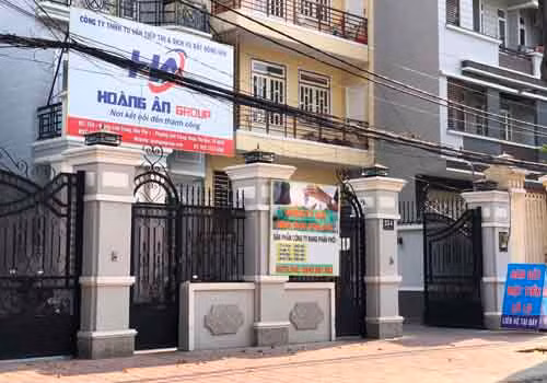 TGD Angle Lina len tieng sau khi bi “beu” dich danh lua dao-Hinh-2