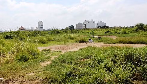 Vi sao Angle Lina va Hoang An Group bi neu dich danh lua dao?