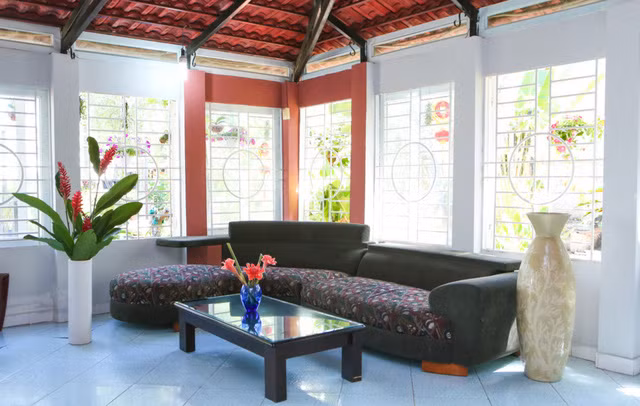 Hai can nha doi nhau "chan chat" cua Nguyen Phi Hung-Hinh-12