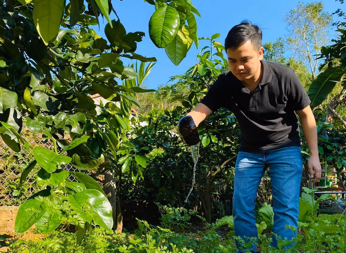 Mẫn còn nhờ bạn gái đứng tên mở một tài khoản ngân hàng (số dư thường có trên 2 tỷ đồng) để giao dịch mua bán, đầu cơ kinh doanh thông tin thẻ tín dụng trên diễn đàn.