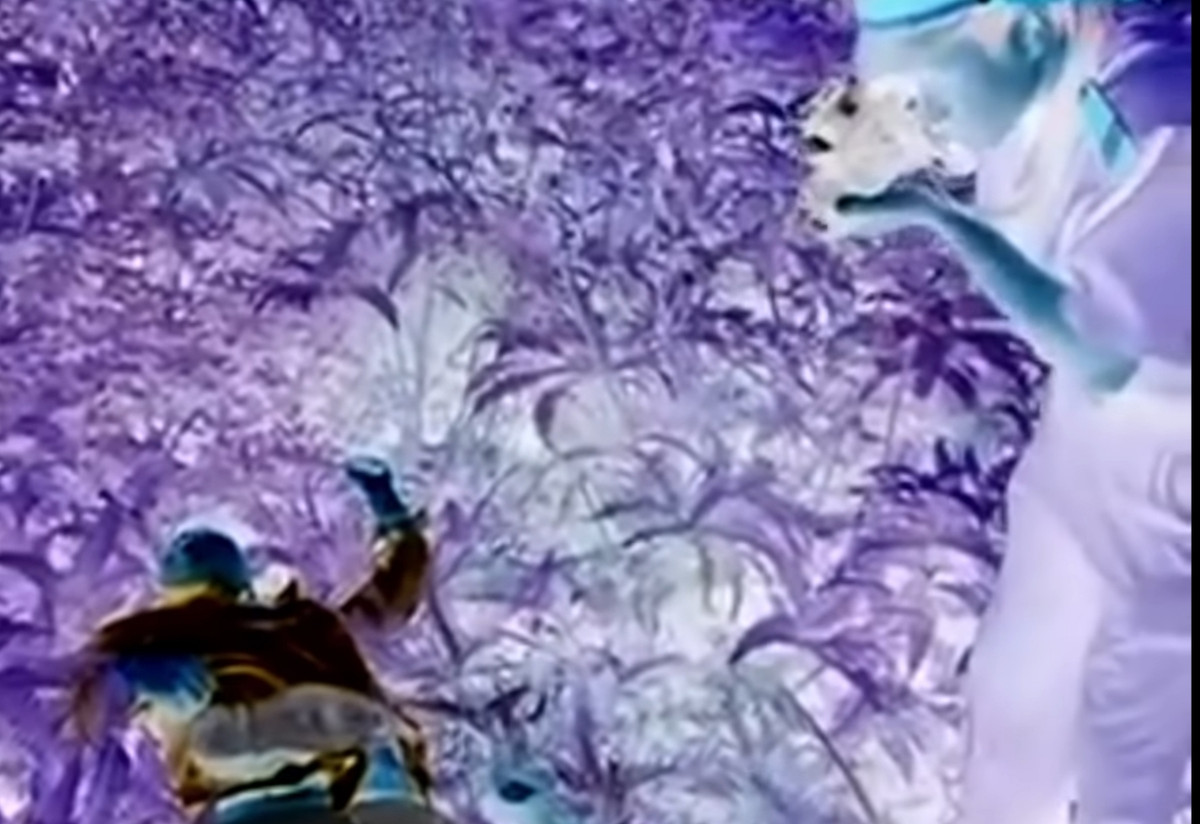 Ban đầu, công tác điều tra gặp nhiều khó khăn do nạn nhân có nhiều mối quan hệ phức tạp và liên quan đến nhiều địa phương. Công tác khám nghiệm hiện trường được triển khai kỹ lưỡng nhằm thu thập nhiều chứng cứ nhất có thể.