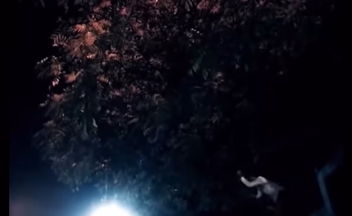 Trong quá trình bỏ trốn, Thông đã vứt con dao gây án, khẩu trang, găng tay xuống ao cá trên địa bàn rồi bỏ trốn. Trong quá trình di chuyển, hắn thường xuyên xóa dấu vết và không ở lại quá lâu một địa điểm. Vụ án đã được Công an huyện Vĩnh Tường khởi tố và đưa ra xét xử theo quy định pháp luật.