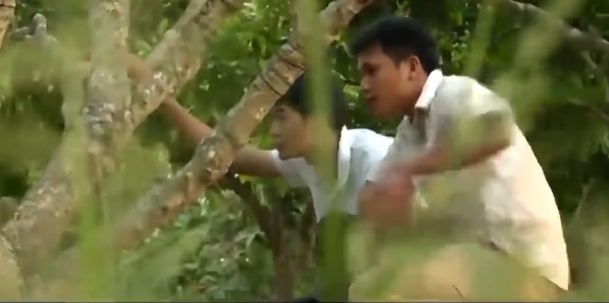 Xác định nghi phạm đang trốn trong một lều chăn vịt giữa cánh đồng xã Ba Sao, 3 mũi trinh sát được chia nhỏ, bao vây chờ lệnh áp sát và bắt giữ thành công.