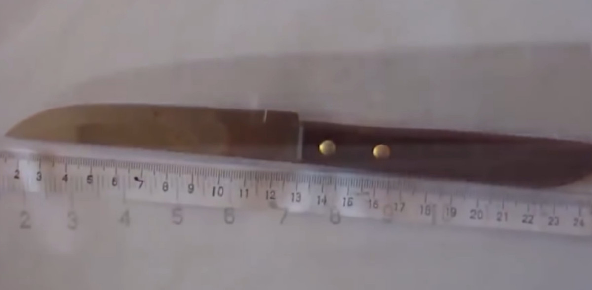 Khi đó, trên tay Trí có cầm một con dao và mẹ Chí đã khuyên con ra đầu thú nhưng đối tượng không đồng ý, bỏ đi ra sau bếp. Sáng hôm sau, Chí rời khỏi nhà.