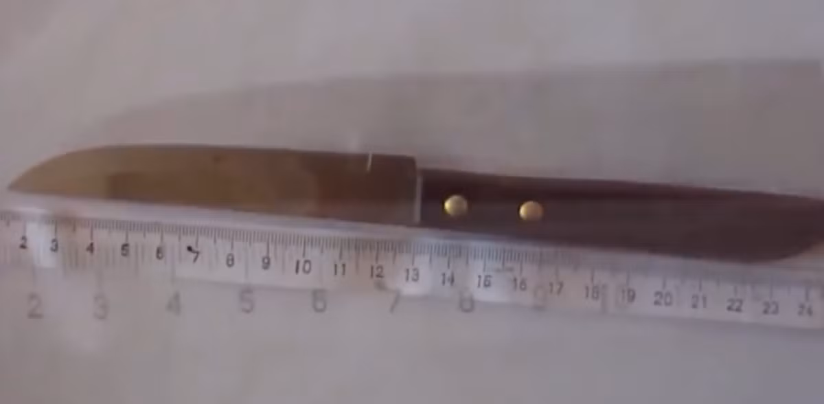 Khi đó, trên tay Trí có cầm một con dao và mẹ Chí đã khuyên con ra đầu thú nhưng đối tượng không đồng ý, bỏ đi ra sau bếp. Sáng hôm sau, Chí rời khỏi nhà.