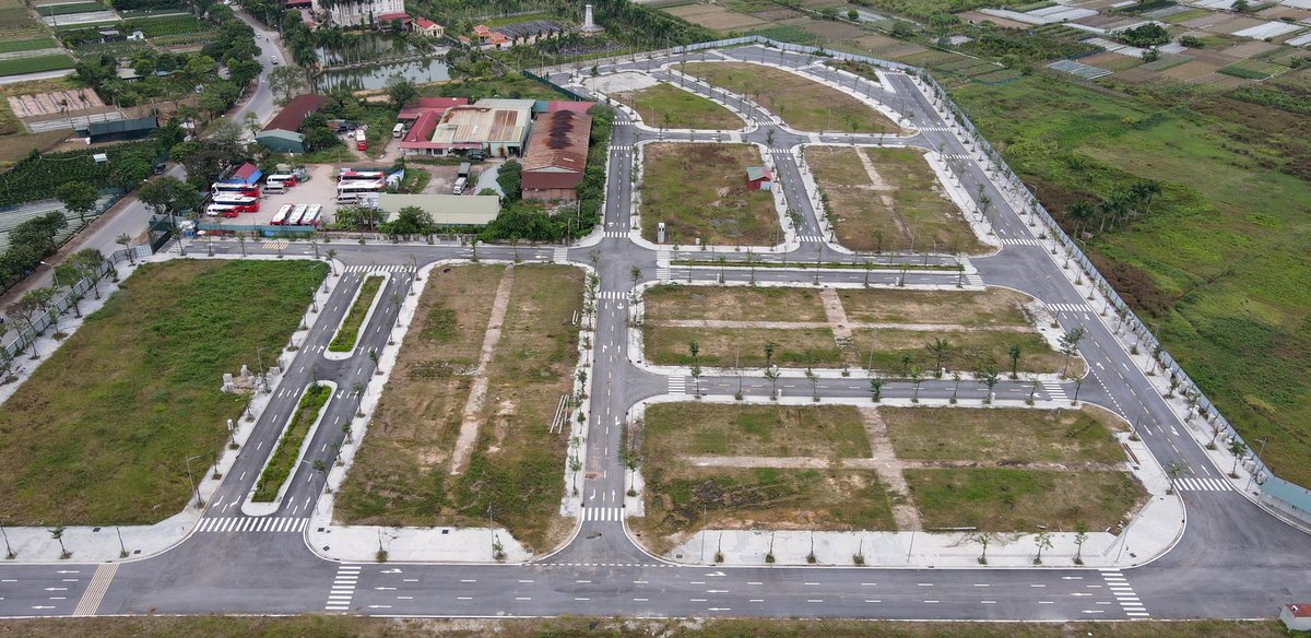 Nguyễn Thị Loan móc nối với cán bộ Ban quản lý dự án huyện Đông Anh để hạ giá khu đất đấu giá 500 tỷ ở Cổ Dương, huyện Đông Anh xuống 300 tỷ. Sau đó dùng chiêu trò "quân xanh, quân đỏ" nắm quyền chi phối trúng đấu giá với mức hơn 20 triệu đồng/m2 rồi bán với thửa có giá cao nhất lên tới 110 triệu đồng/m2.