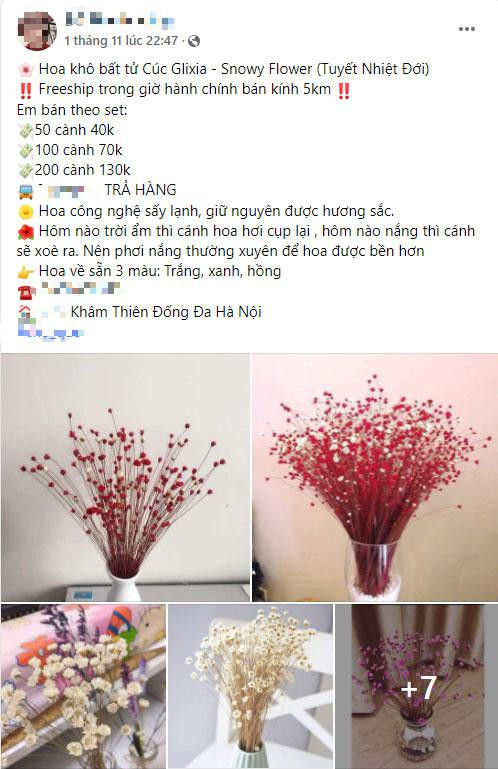 Tuyet nhiet doi ben 10 nam la loai hoa gi ma duoc chi em “san lung” may tuan nay?-Hinh-2