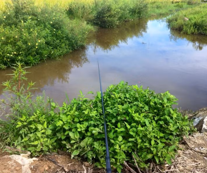 Tuy nhiên, một số dân mạng cũng bình luận, câu chuyện đi phượt Bắc - Nam bằng xe đạp như anh Hoan đã được nhiều người trải nghiệm, không có gì là quá đặc biệt. Ảnh trong bài: Facebook nhân vật.