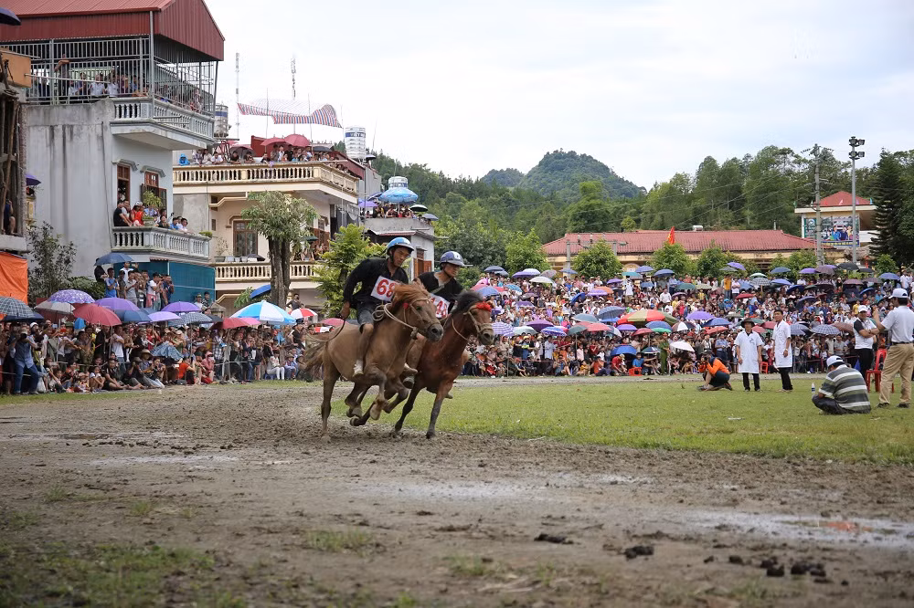 Lan dau to chuc le hoi dua ngua truyen thong vung cao tai Fansipan-Hinh-3